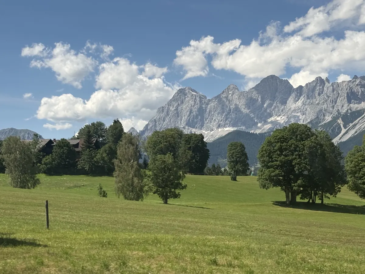 Blick über eine Bergwiese mit einzelnen Laubbäumen und einem Hof auf das Dachsteinmassiv: helle Felswände mit Schneefeldern unter einem Himmel voller Quellwolken.
