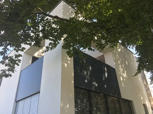 Zwei Giebel über dem Laub — Die Fassade bleibt ruhig, das Muster darauf machen die Äste.